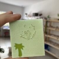 Carimbo de acrílico “ Cactus ao luar”.
