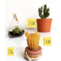 Forma de silicone mini cacto.