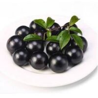 Essência oleosa jabuticaba - 100g.