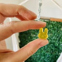 Forma de silicone mini coelho.