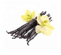 Essência oleosa Baunilha  - 100g.