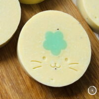 Carimbo de acrílico "Focinho de gato" 2.