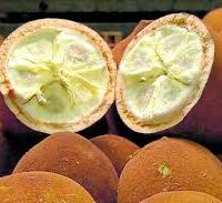 Essência para sabonete glicerinado Cupuaçu- 100g.
