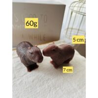 Forma de silicone capivara.