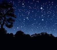 Essência oloesa Noite Estrelada- 100g.