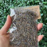 Lavanda ou alfazema azul - 10g.