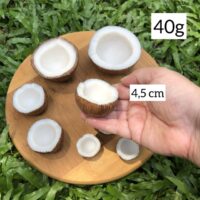 Forma de silicone coco G.