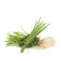 Essência para sabonete glicerinado Vetiver - 100g