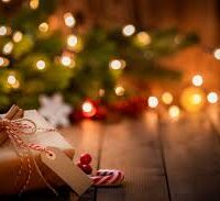 Essência oleosa Encanto de Natal- 100g.