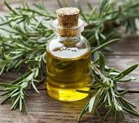 Oleorresina de Alecrim 8,0% - 25g