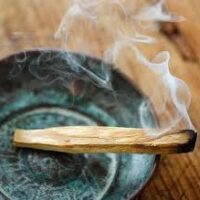Essência oleosa Palo Santo- 100g.